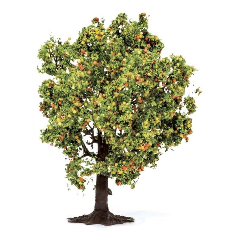 Apple Tree with Fruit