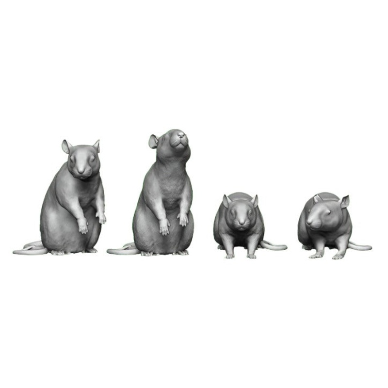 N Gauge Pets, Wildlife & Livestock – Rats – Pack of 6