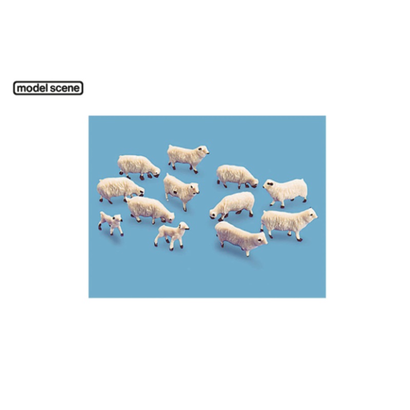 Sheep and Lambs (12 items)