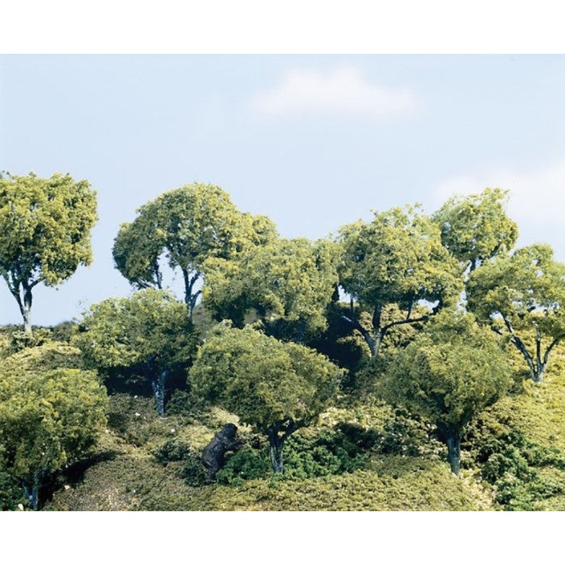 TK25 Hardwood Trees 5  – 6  inch (Pack of 3)