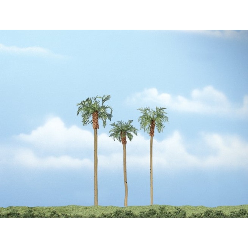 TR1617 Premium Royal Palm Trees 3 – 4  inch (Pack of 3)