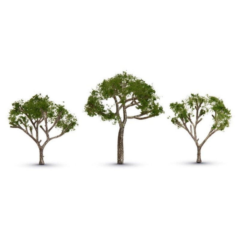 TR3525 Gum Tree 2 1/2  3 1/2