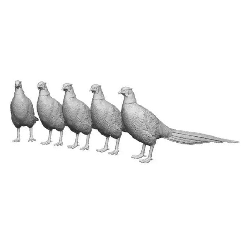 O Gauge Pets, Wildlife & Livestock – Pheasants – Pack of 5
