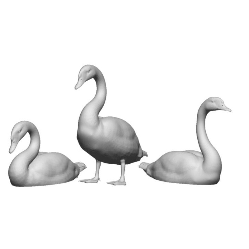 O Gauge Pets, Wildlife & Livestock – Swans – Pack of 3
