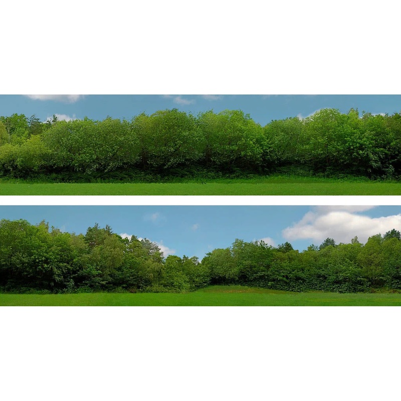 Art Printers Tall Trees 149C OO Gauge 15 High Backscene